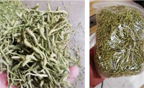 金銀花烘干及應(yīng)用