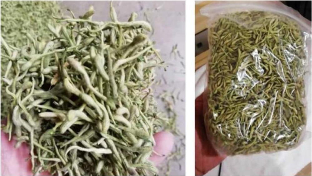 金銀花1.jpg